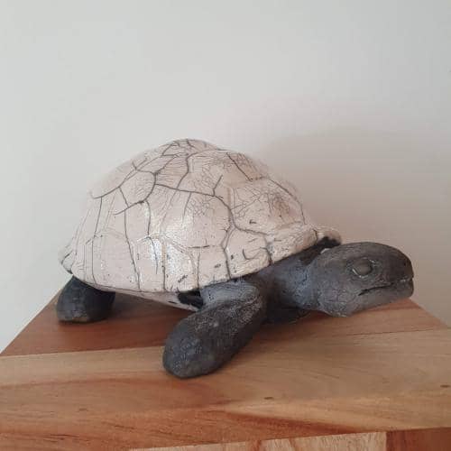 Tortue Raku - Rosalie